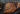 articles/1_4d12c3a6-89ab-4d38-9df7-14fb4e2ec30b.png