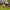image with artdirection blur-up
