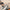image with artdirection blur-up