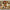 image with artdirection blur-up