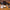 image with artdirection blur-up