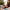 image with artdirection blur-up