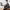 image with artdirection blur-up