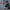 image with artdirection blur-up