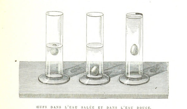 A/B Testing on Facebook: Everything Merchants Should Know