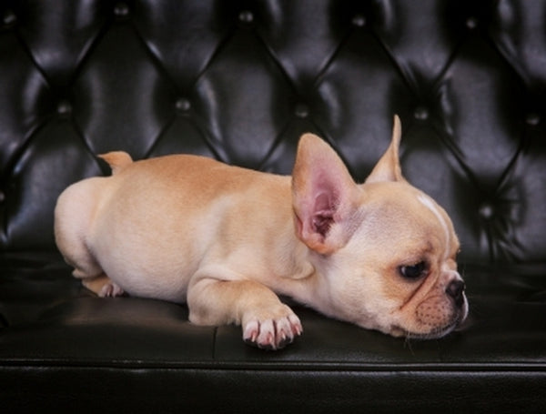 Boring Products? No Problem: How Content Can Help Sell Boring Industries